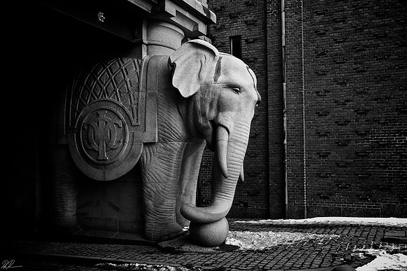 The Elephant Gate 2
